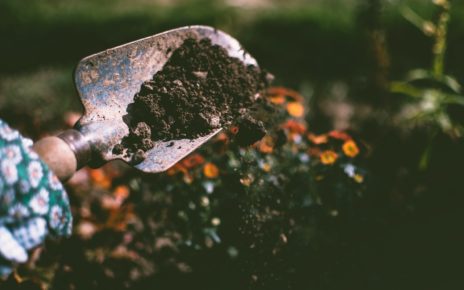 a hand shovel