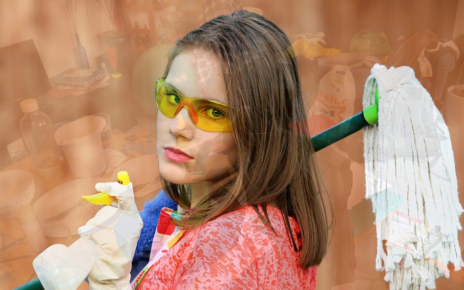 pro cleaners