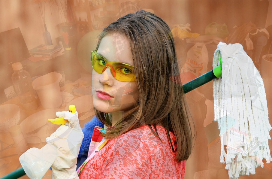 pro cleaners