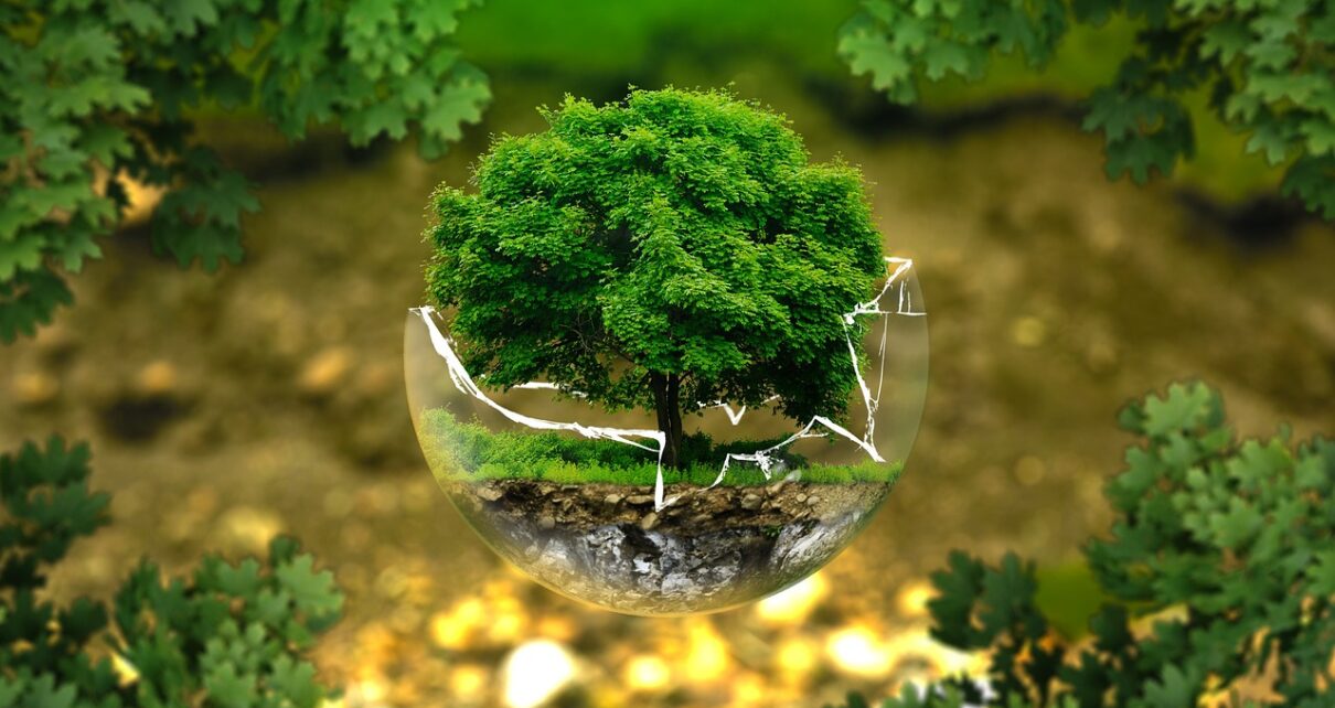 environment