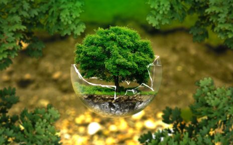 environment